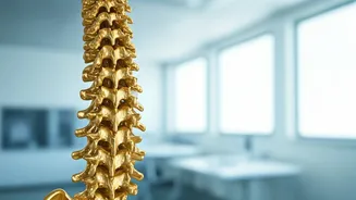 Protect Your Spine With These Daily Habits