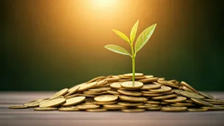 Beyond the Bank Balance: Unlocking True Happiness With or Without More Money