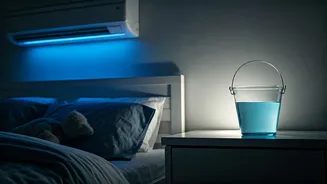 The Simple Secret: A Bucket of Water for Better Sleep with AC