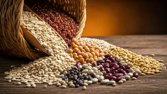 Fibre's Future: The 2025 Wellness Trend