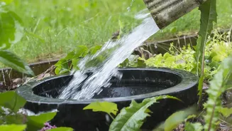 What The Latest August Gardening Advice Means For Clear Drainage