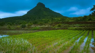 Bokaro’s Sevati Valley: What Makes Its Monsoon Landscape Worth Exploring