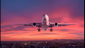 The Do's and Don'ts of Flight Etiquette: Travel Like a Pro