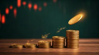 Grow Your Index Funds Automatically Using Daily Micro Investments