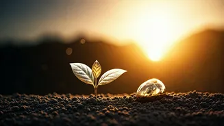 Unlock Your Potential: Psychology's Blueprint for Lifelong Success