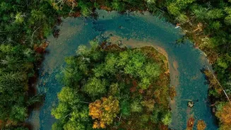 Rainy-Season Adventures Showcase Assam's Untouched Natural Beauty