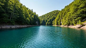 Rocky Gap State Park: Maryland's Aquatic Gem and Outdoor Adventure Hub