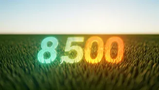 8,500 Steps: The New Weight Maintenance Sweet Spot After Dieting
