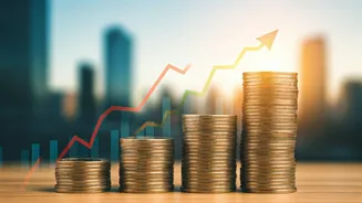 Equity Mutual Fund Inflows Rise in India: A November Review