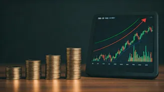 Market Insights: Gainers, Losers, Tips Inside