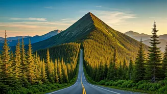 Kuwohi Road: Your Gateway to the Smokies' Highest Views and Trails This Summer