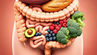 5 Fiber Foods for a Healthy Gut: Gastroenterologist's Guide