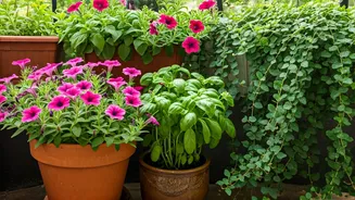 Small Balcony? These Plants Still Work
