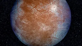 Subsurface Oceans On Icy Moons: How Probes Search Europa For Alien Organisms