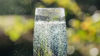 Creating sparkling probiotic drinks at home: A complete recipe for tea and SCOBY kombucha
