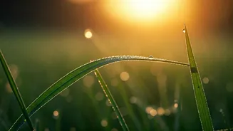 5 AM Mornings: How Affirmations Help You Conquer Your Day