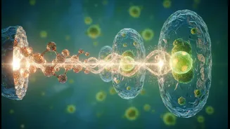 New Food Research Looks At Better Ways To Absorb Plant Iron