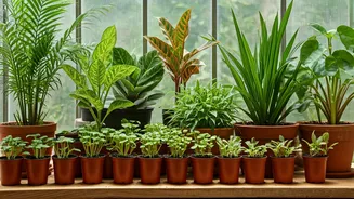 Gen Z's Career Goals: A Deep Dive into the Global Mindset