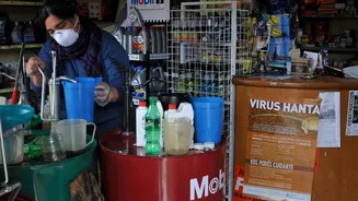 What to Know About Hantavirus and Its Suspected Role in Cruise Ship Outbreak