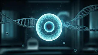 SpudCell Runs On Synthetic DNA, Scientists Say