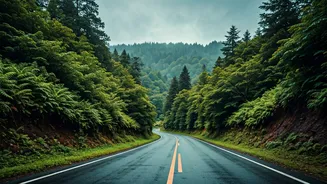 Siliguri Shows Monsoon Travel Can Stay Local