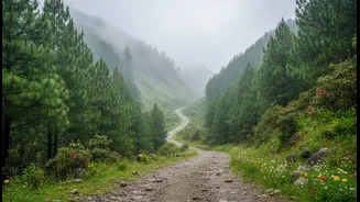 Make Your Himachal Itinerary More Flexible