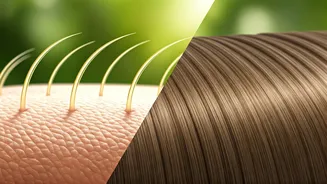 Scalp vs Strand Oiling: Unlocking Your Hair's Full Potential for Growth and Health