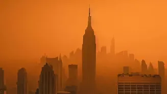 Skin Irritation As Delhi Air Worsens — When Persistent Skin Problems Need Expert Care