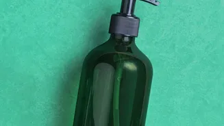 Eco-Friendly Takeaways: Sustainable Startups In India Switch Plastic Containers For Algae