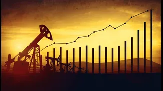 India’s energy demand to rise 5% with 7% GDP growth, says HPCL CMD Vikas Kaushal