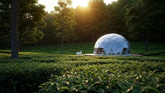 Private Eco Domes In Tea Gardens Become Ultimate Romantic Choice
