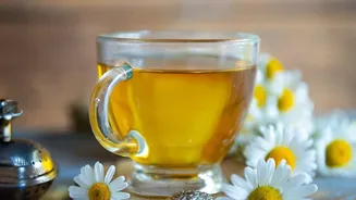 Subtle Sweet Harmony: Why Chamomile Tea Infusions Pair So Well With Honey