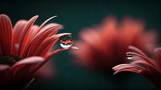 Beyond Staying Together: The Real Impact of Marriages of Convenience on Children