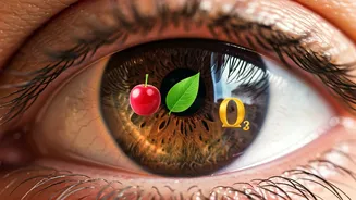 Related Stories banner