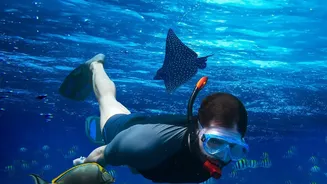 How travellers can build domestic trips around underwater and marine activities
