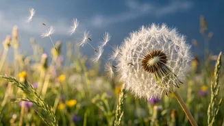 Why People Say Bless You After A Sneeze Highlights Sneezing As A Social Cue