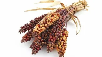 5 delightful dishes featuring jowar