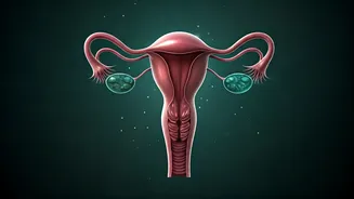 Unlock Your Best Reproductive Health: Expert Tips for Indian Women