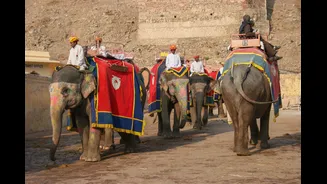 Decorated Elephants Parade for Teej Festival in Jaipur