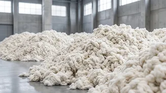 Cotton Trade Strategy: How India Manages Raw Material Imports To Stabilise Prices