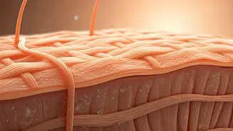 Collagen's Real Role: Beyond Wrinkle Reversal - What Science Says