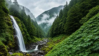 Nature Lovers Are Choosing North India's Rainy Escapes