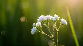 April's Arrival: Strong & Stylish Names for Your Newborn