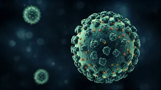 Nipah Virus: Understanding the Threat and Response