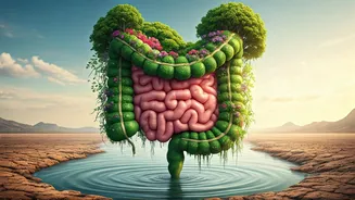 Prioritize Your Digestive Ecosystem Shifting From Rigid Calories To Fiber