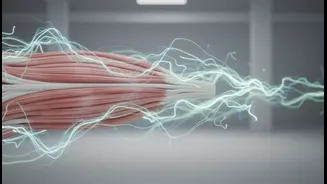 How Active Mobility Exercises Flush Metabolic Waste Products From Sore Muscle Groups Safely