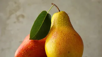 Whole Nashpati versus Pear Juice: Which Better Supports Blood Sugar?