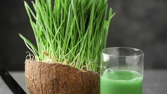 Why juice cleanses are a detox myth