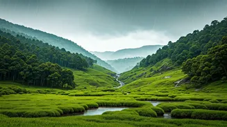 Monsoon Planning Means Choosing The Right Location