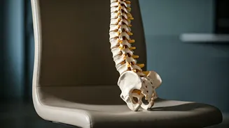 The Silent Damage: How Sitting Hurts Your Spine